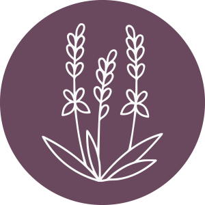 Lavender Essential Oil
