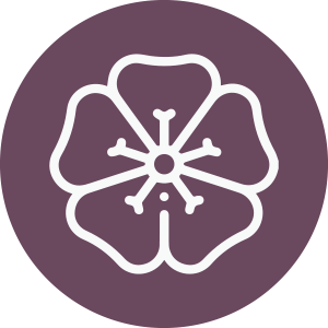 Geranium Essential Oil