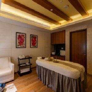 spa in delhi