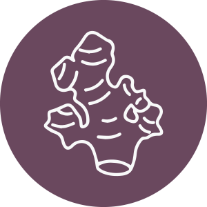 Saunth (Zingiber officinale Roscoe)
