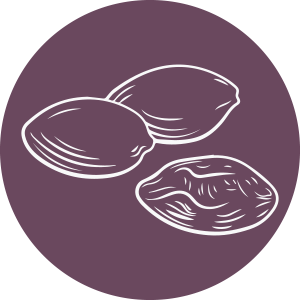 Triphala (Myrobalan)