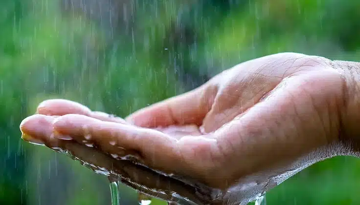 Varsha Ritucharya by Tattva – a hand catching monsoon rain, symbolising Ayurvedic seasonal self-care and wellness.